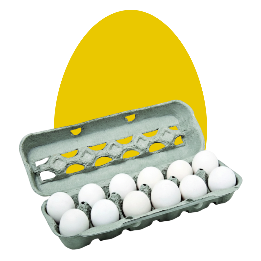 Ovos brancos embalados